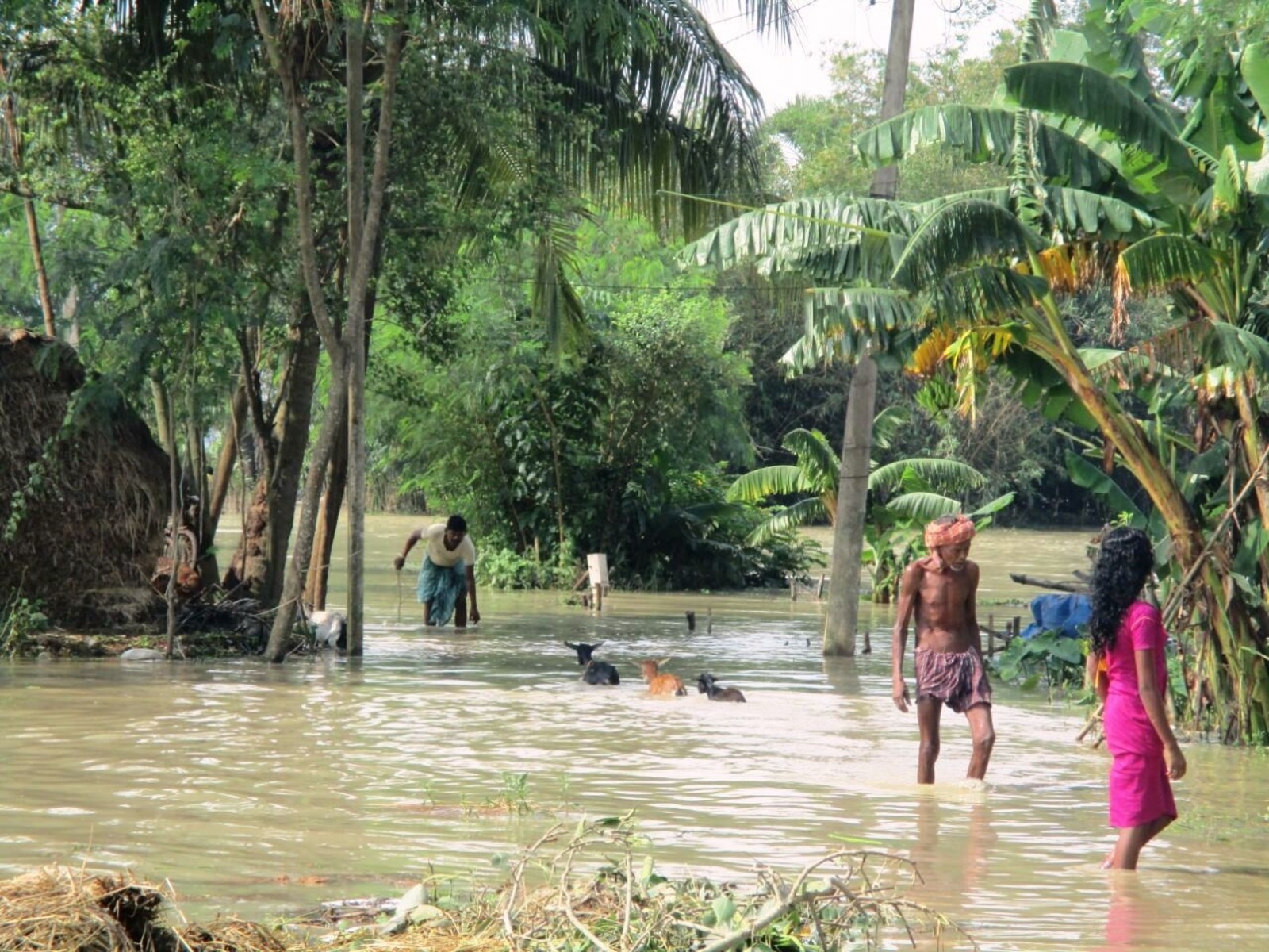 South Asia Flood Response